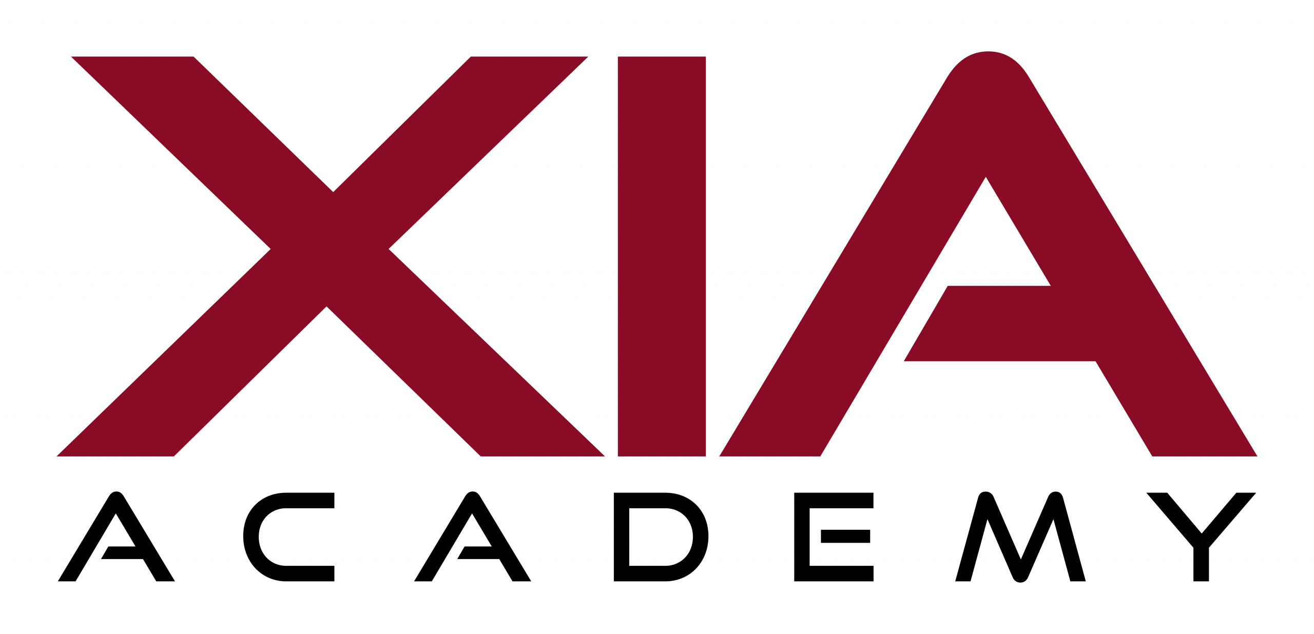 XIA logo-01